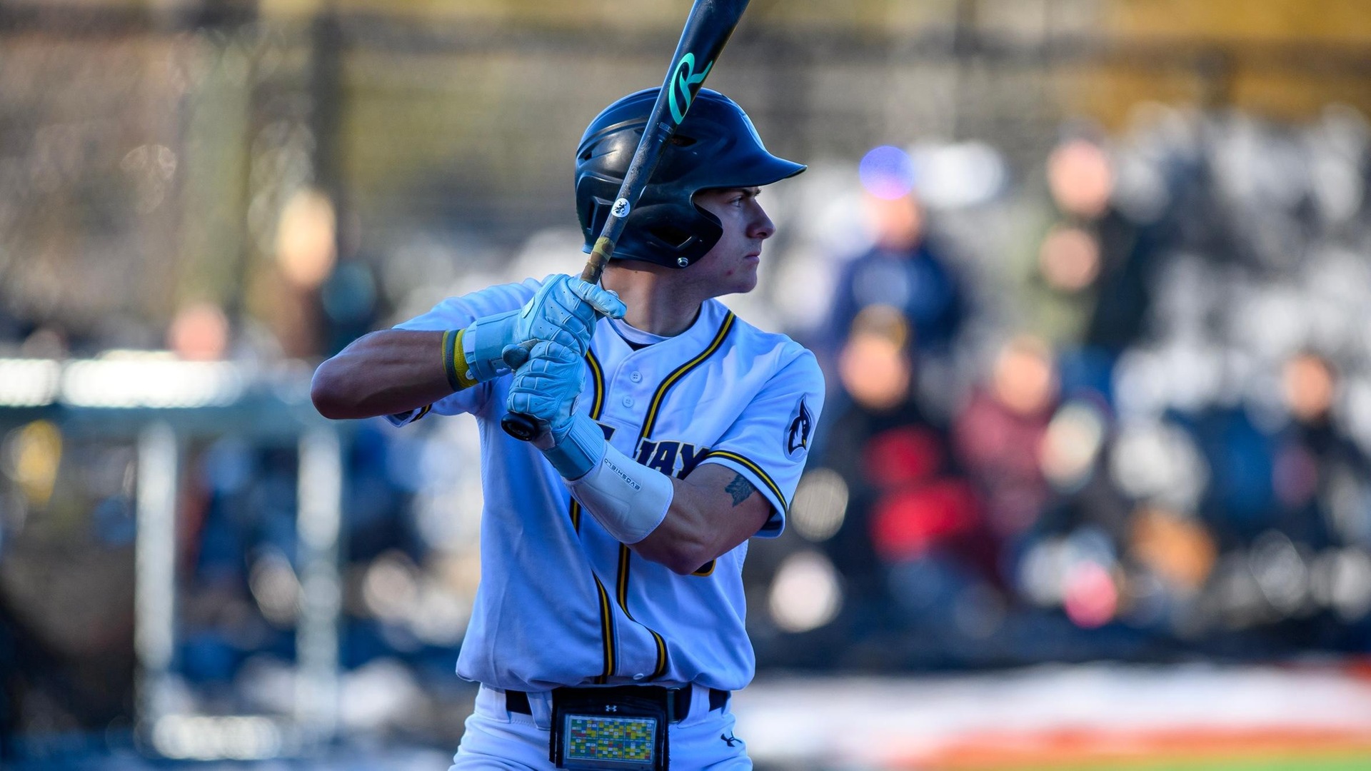 Photo Credit: Steve McLaughlin Photography