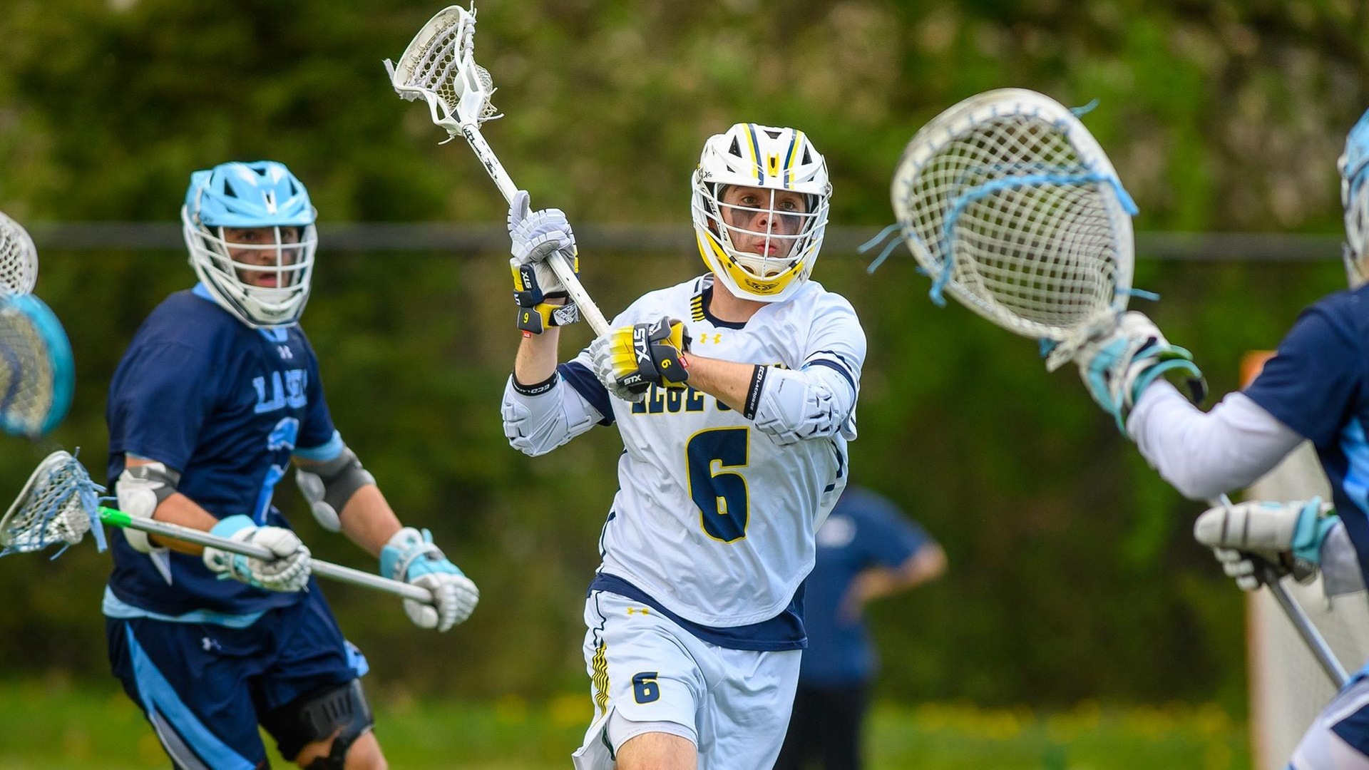 Photo Credit: Steve McLaughlin Photography