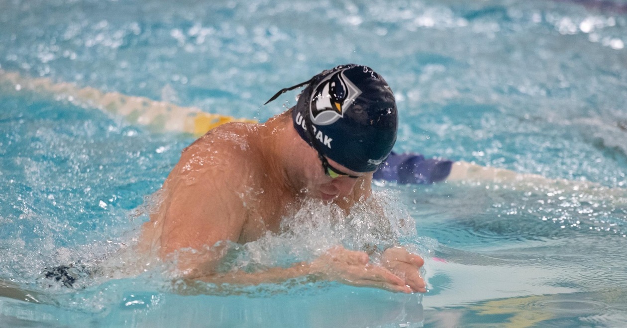 Flock Of Four Men's Swimmers Make All-New England Team