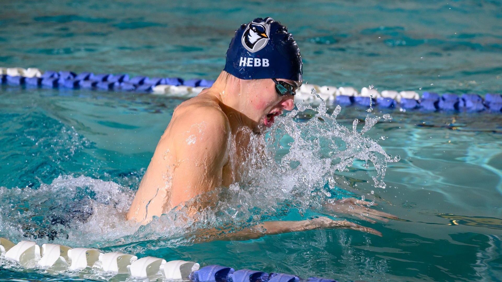 Hebb Breaks 1-Meter Diving Program Record, Blue Jays Fall to Gordon Saturday