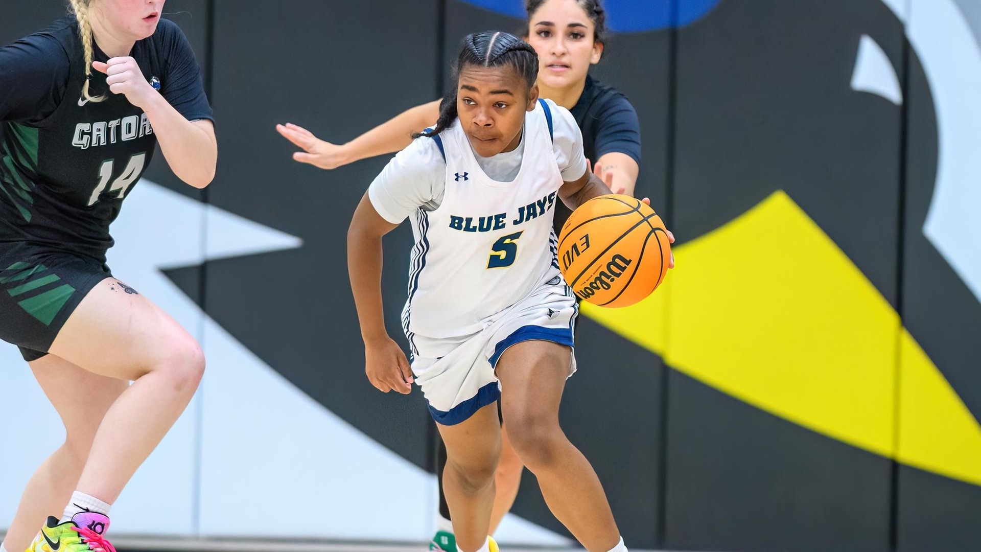Photo Credit: Steve McLaughlin Photography
