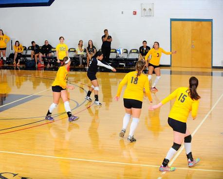 Volleyball Edged at Elms