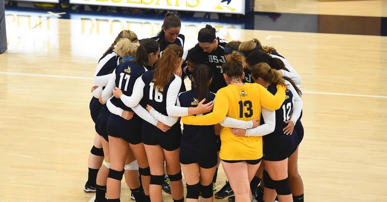 Volleyball Stymied by Gordon on Saturday, 3-0