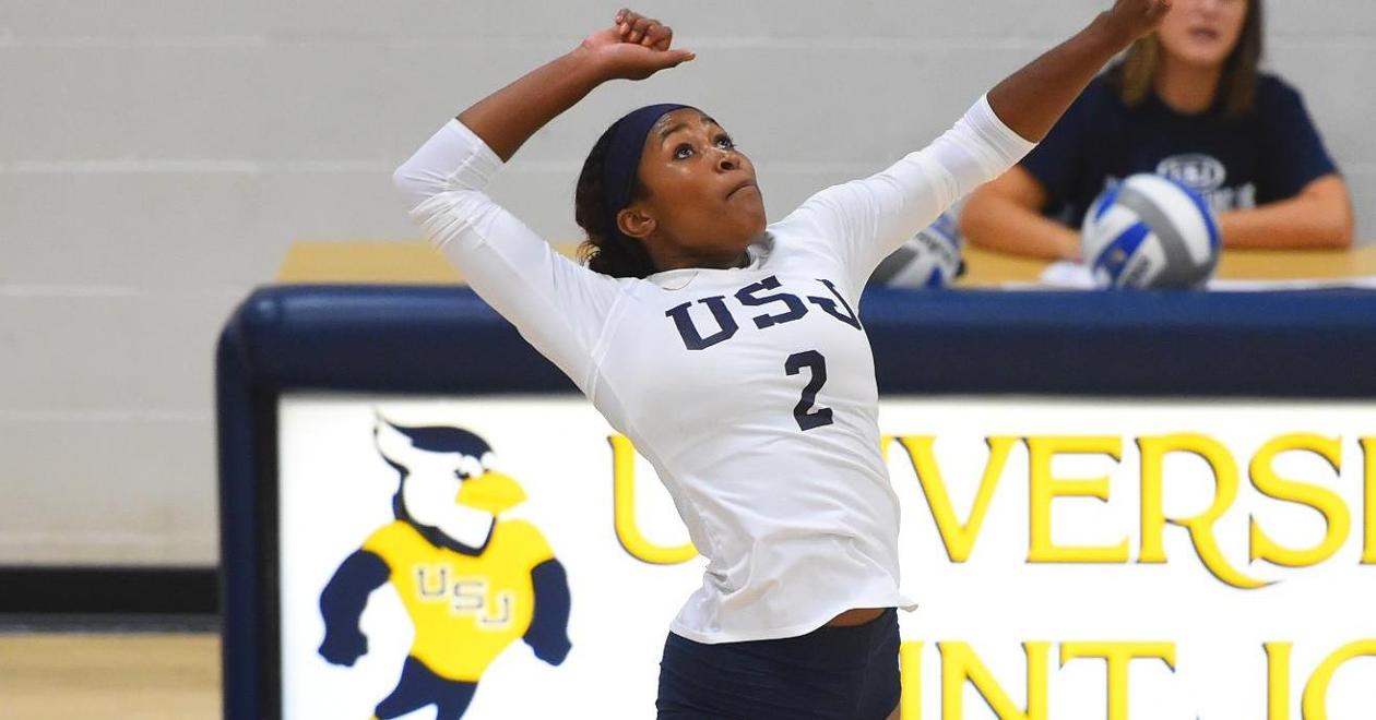 Volleyball Splits Tri-Match at Rivier on Saturday