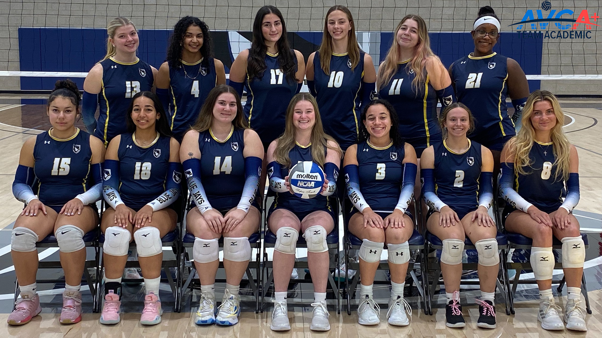 Volleyball Earns AVCA Team Academic Award