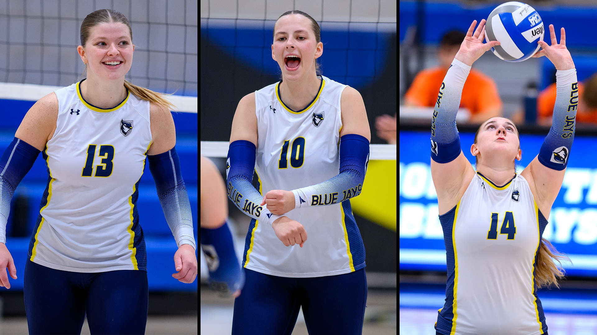 Volleyball Lands Three on CSC Academic All-District Team
